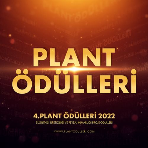 4 PLANT DLLER 2022